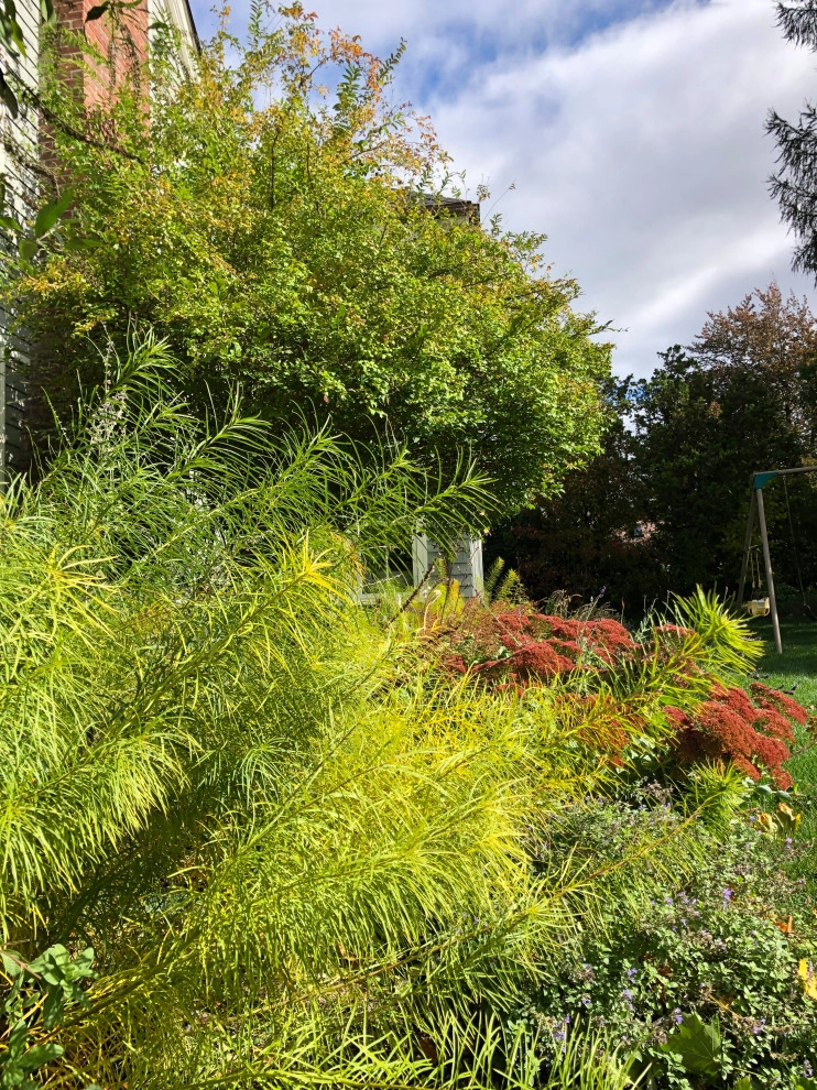 Semi Wild: Full of Life by Sophie Bignet Landscape Design - Photo 2