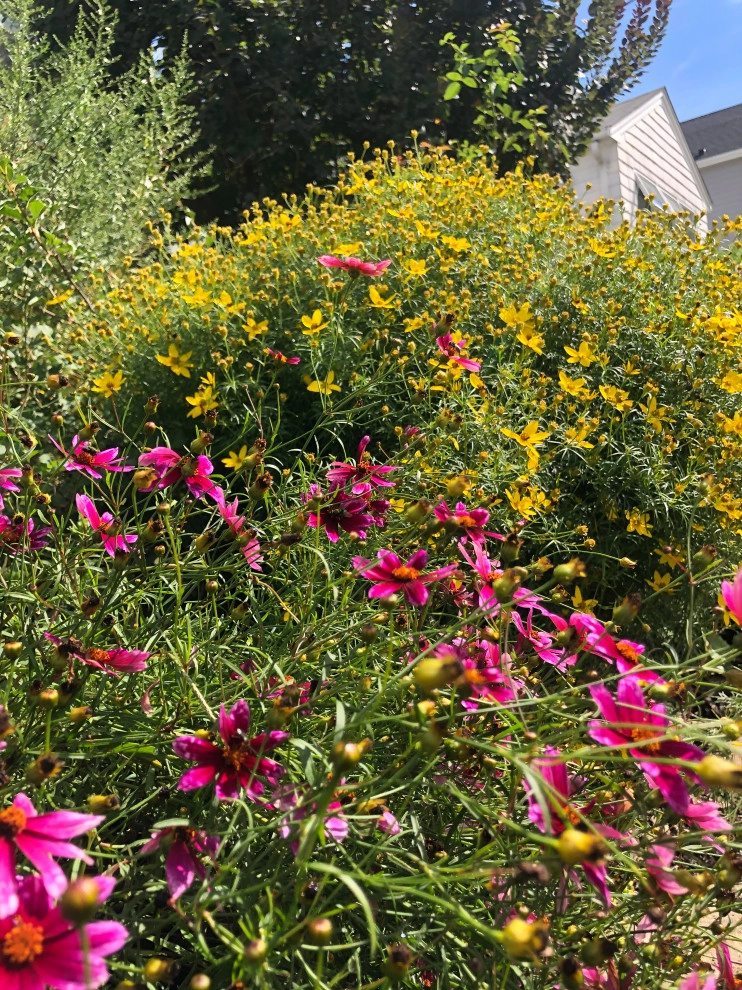 Sophie Bignet Landscape Design - Photo 11