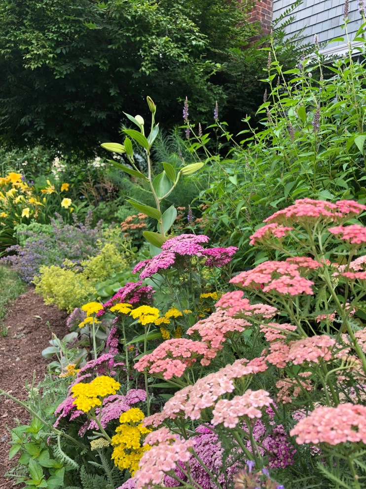 Semi Wild: Full of Life by Sophie Bignet Landscape Design - Photo 4