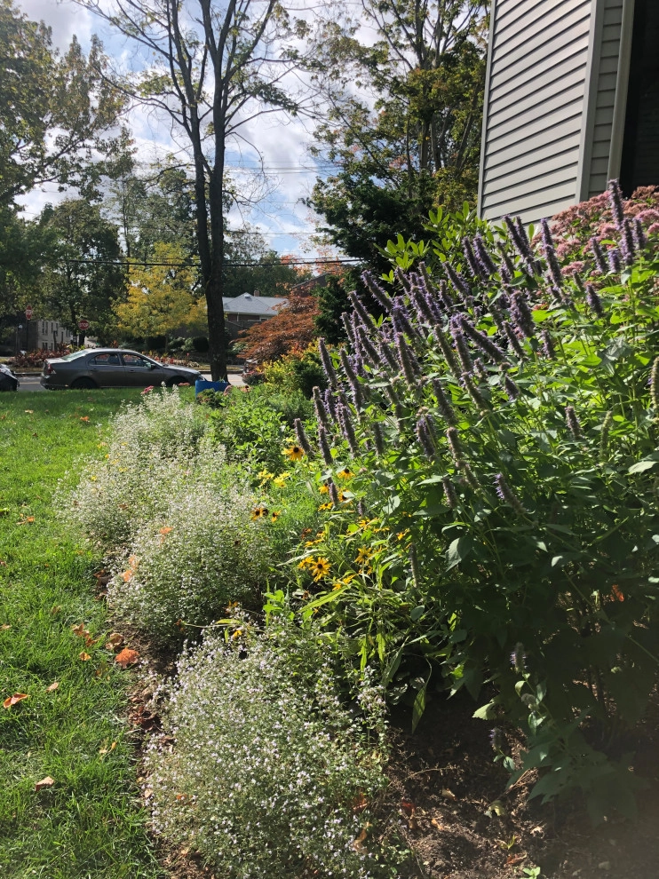Semi Wild: Full of Life by Sophie Bignet Landscape Design - Photo 3