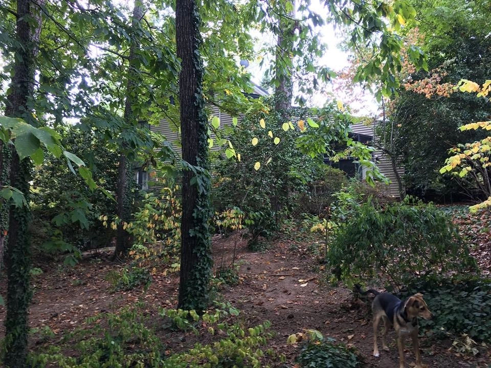 Grubel by Southern Elegance Design And Landscape - Photo 10