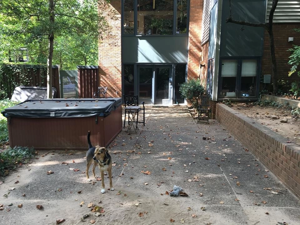 Grubel by Southern Elegance Design And Landscape - Photo 9