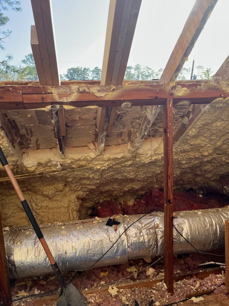 Jackson Jones by Holloway Construction - Photo 12