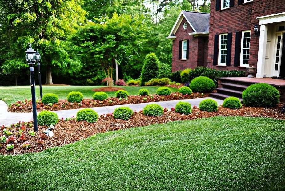 Foundation Plantings by Southern Landscape Design - Photo 12