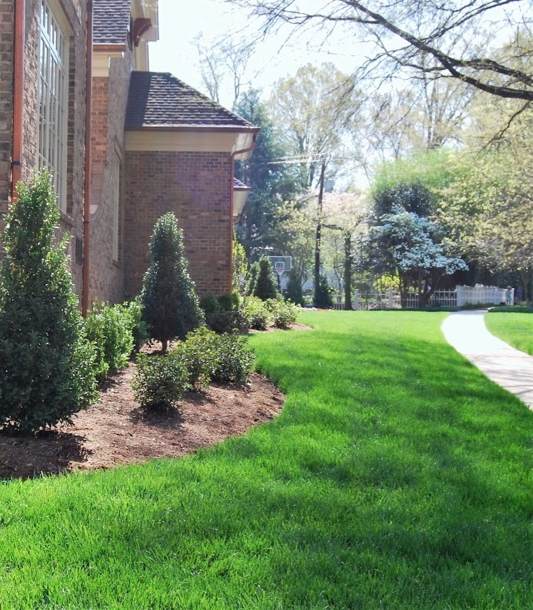 Foundation Plantings by Southern Landscape Design - Photo 6