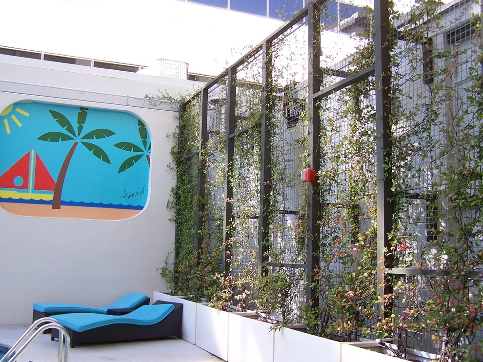 Palms on Main by Southern Vistas Inc - Photo 5