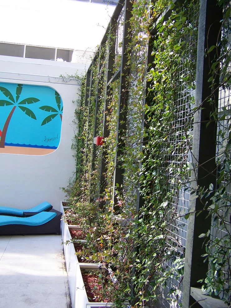 Palms on Main by Southern Vistas Inc - Photo 3