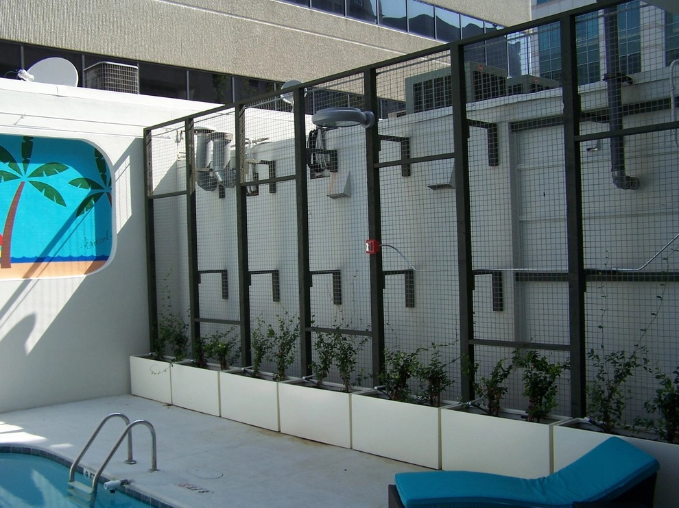 Palms on Main by Southern Vistas Inc - Photo 2
