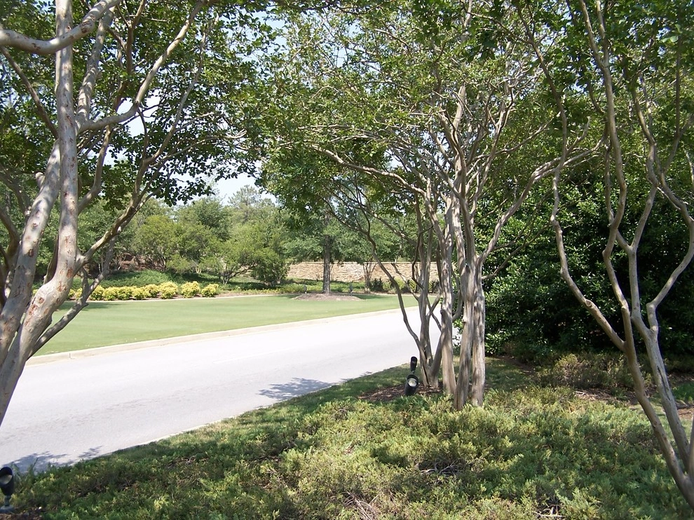 Southern Vistas Inc - Photo 4