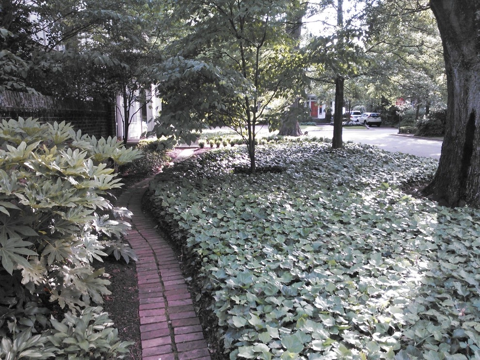 Misc Projects by Southern Vistas Inc - Photo 13