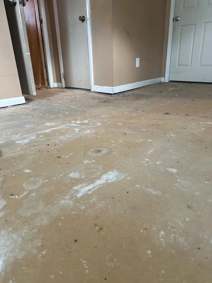 Client Carpet and Flashing Installation Return by JM Customs & Restorations - Photo 29