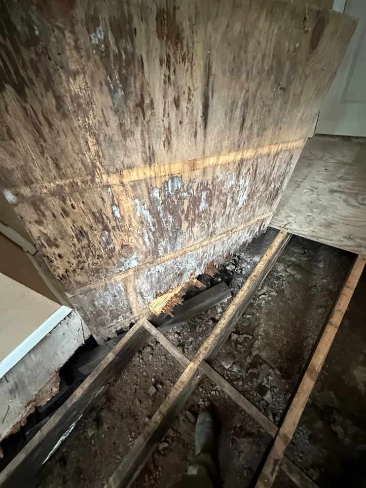 Client Carpet and Flashing Installation Return by JM Customs & Restorations - Photo 35