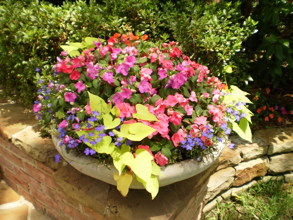 Brumley Gardens - Photo 11