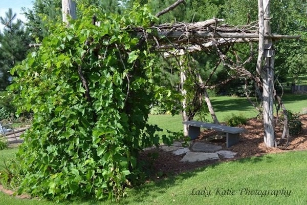 Arbors & Decks by Autumn Oaks Landscapes - Photo 6