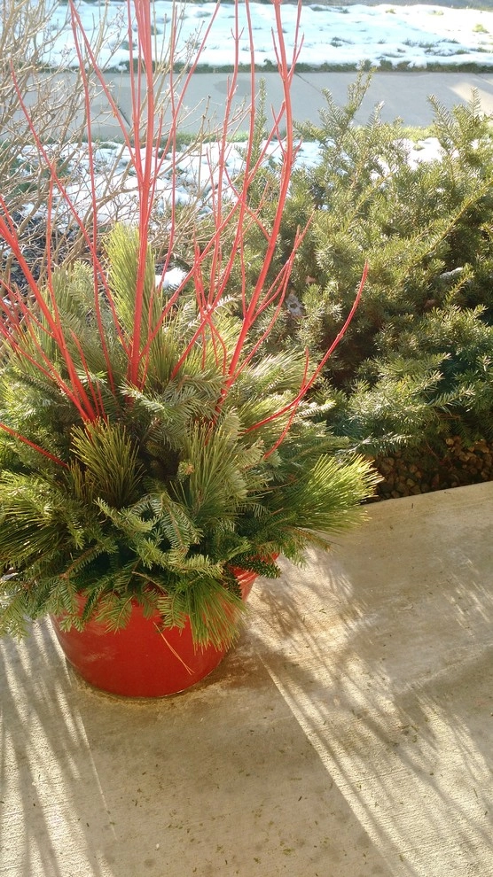 Containers by Avant Gardening & Landscaping Inc - Photo 7