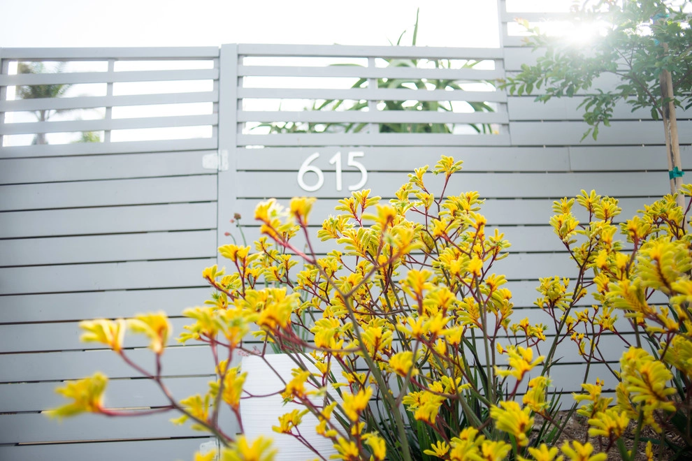 Valdes 'Miami West' Modern Design by SP Gardens - Susanna Pagan Landscape Design - Photo 14