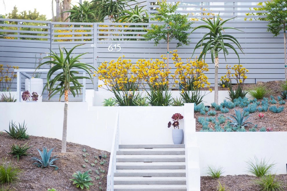 Valdes 'Miami West' Modern Design by SP Gardens - Susanna Pagan Landscape Design - Photo 47
