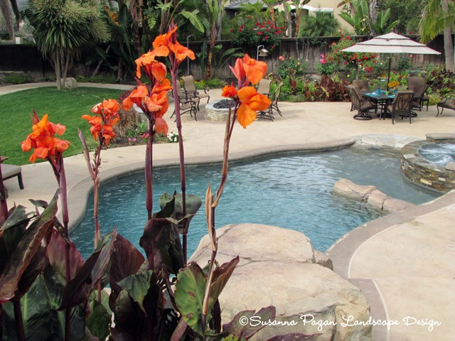 Attix Residence by SP Gardens - Susanna Pagan Landscape Design - Photo 9