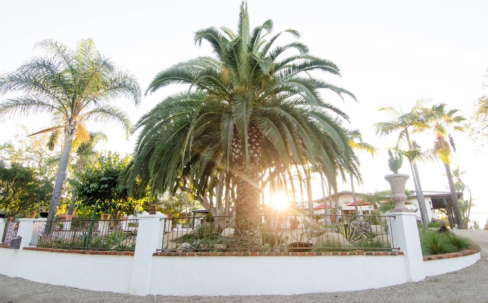 Casa de Aire y Sol Residence by SP Gardens - Susanna Pagan Landscape Design - Photo 38