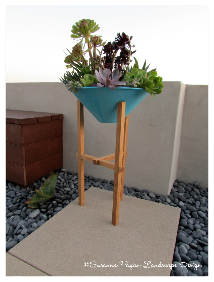 Carlsbad Lagoon Residence by SP Gardens - Susanna Pagan Landscape Design - Photo 4