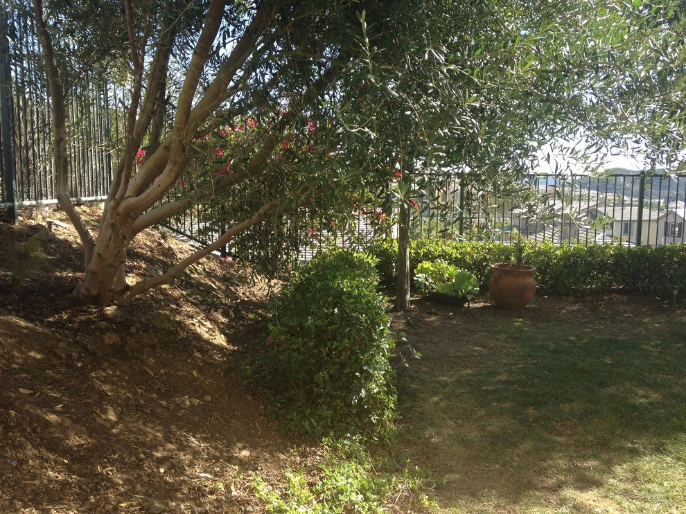 Nasser Residence by SP Gardens - Susanna Pagan Landscape Design - Photo 2