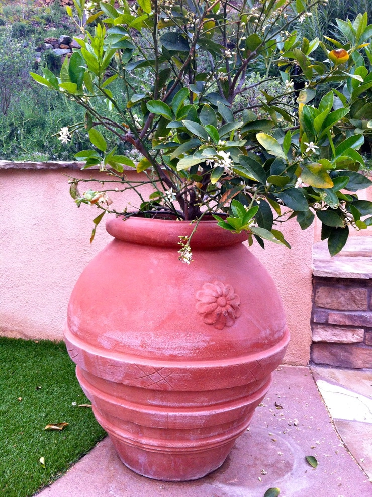 Maney Residence - San Elijo Hills by SP Gardens - Susanna Pagan Landscape Design - Photo 11