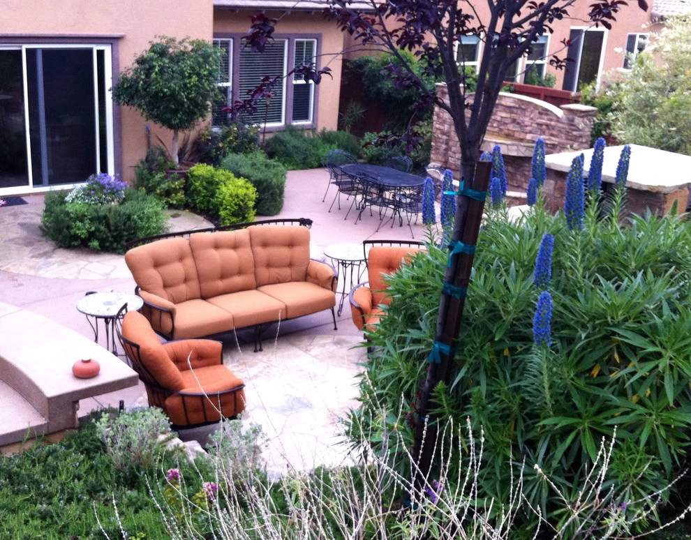 Maney Residence - San Elijo Hills by SP Gardens - Susanna Pagan Landscape Design - Photo 6