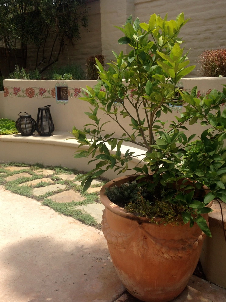 Essick - La Jolla Old World Garden by SP Gardens - Susanna Pagan Landscape Design - Photo 3