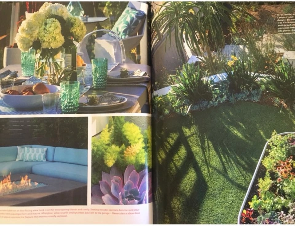 Valdes 'Miami West' Modern Design by SP Gardens - Susanna Pagan Landscape Design - Photo 2