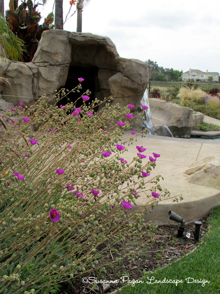 Attix Residence by SP Gardens - Susanna Pagan Landscape Design - Photo 5