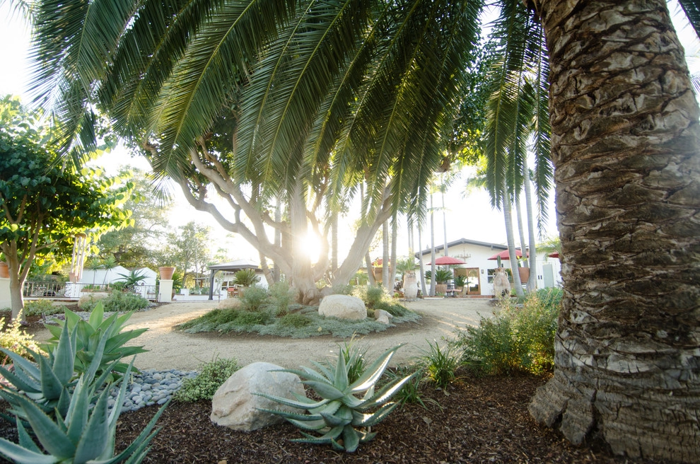 Casa de Aire y Sol Residence by SP Gardens - Susanna Pagan Landscape Design - Photo 21