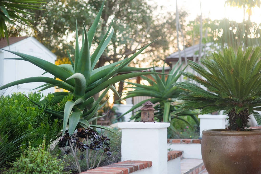 Casa de Aire y Sol Residence by SP Gardens - Susanna Pagan Landscape Design - Photo 32