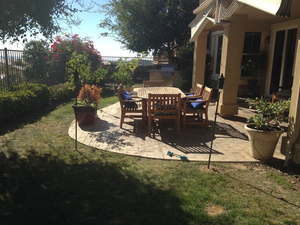 Nasser Residence by SP Gardens - Susanna Pagan Landscape Design - Photo 6