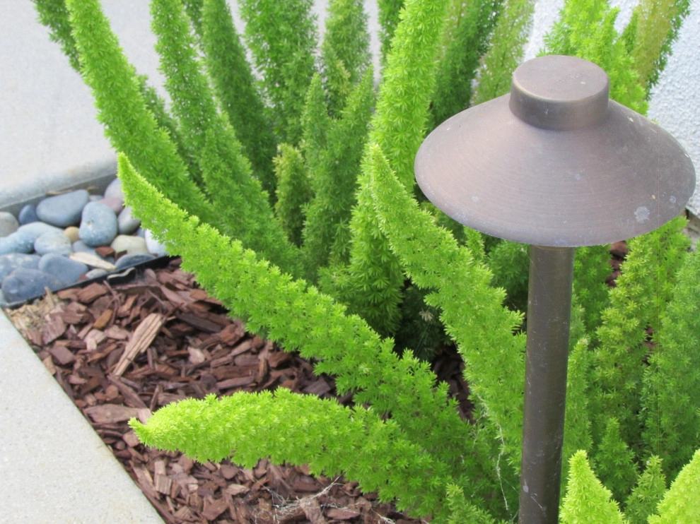 Landie Coastal Modern by SP Gardens - Susanna Pagan Landscape Design - Photo 2
