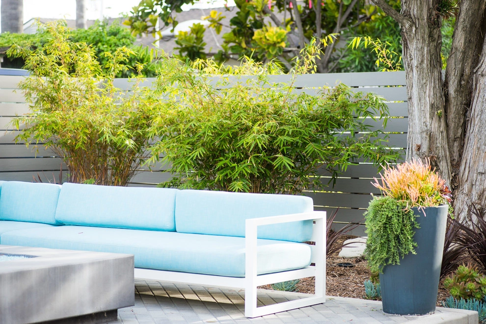 Valdes 'Miami West' Modern Design by SP Gardens - Susanna Pagan Landscape Design - Photo 24