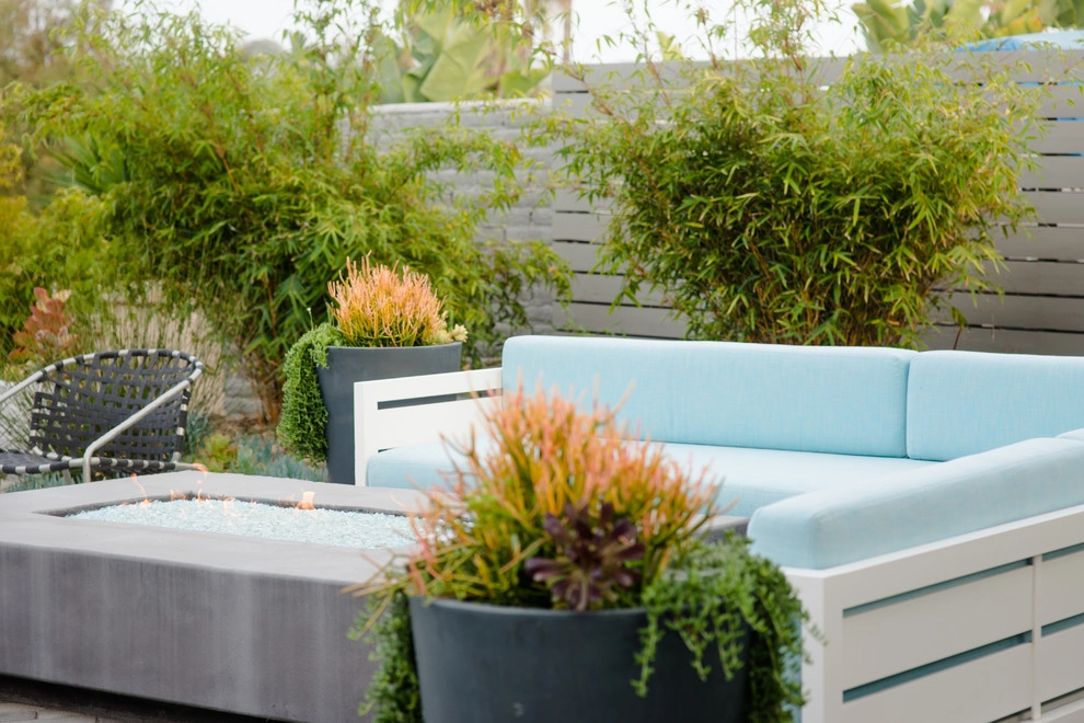 Valdes 'Miami West' Modern Design by SP Gardens - Susanna Pagan Landscape Design - Photo 26