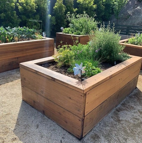 LA Jolla - Muirlands Beauty by SP Gardens - Susanna Pagan Landscape Design - Photo 10