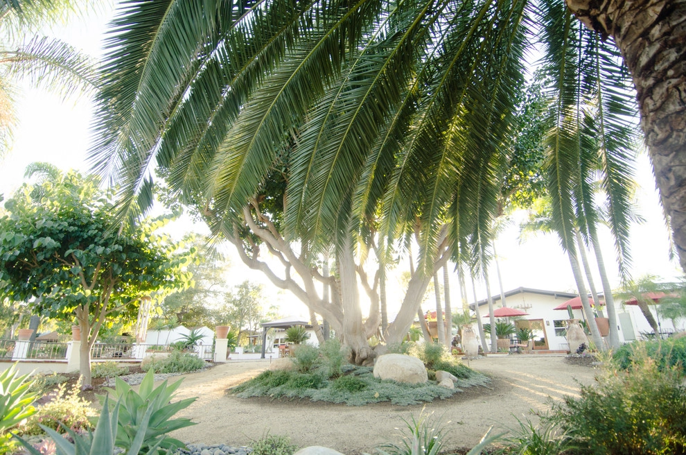 Casa de Aire y Sol Residence by SP Gardens - Susanna Pagan Landscape Design - Photo 19