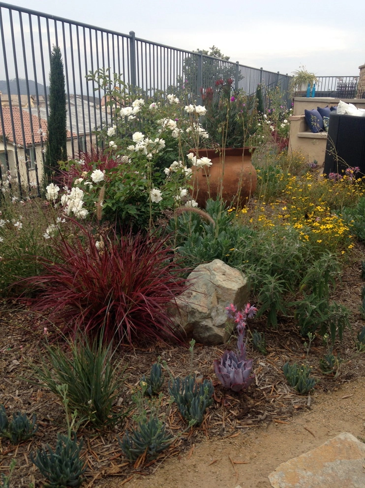 Nasser Residence by SP Gardens - Susanna Pagan Landscape Design - Photo 11