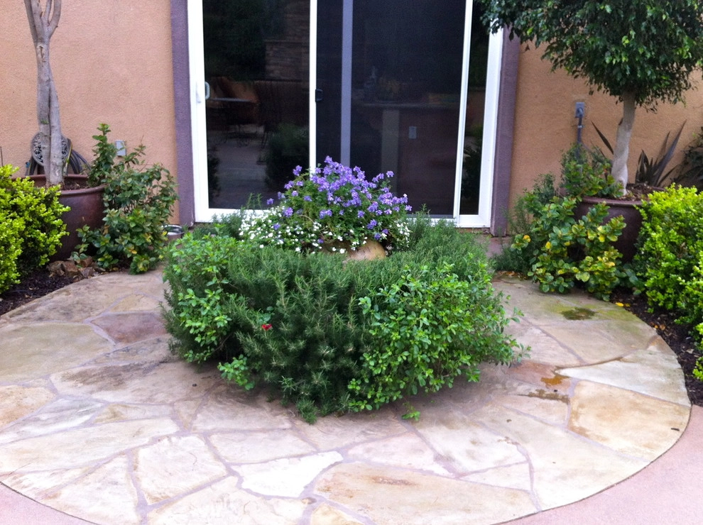 Maney Residence - San Elijo Hills by SP Gardens - Susanna Pagan Landscape Design - Photo 2