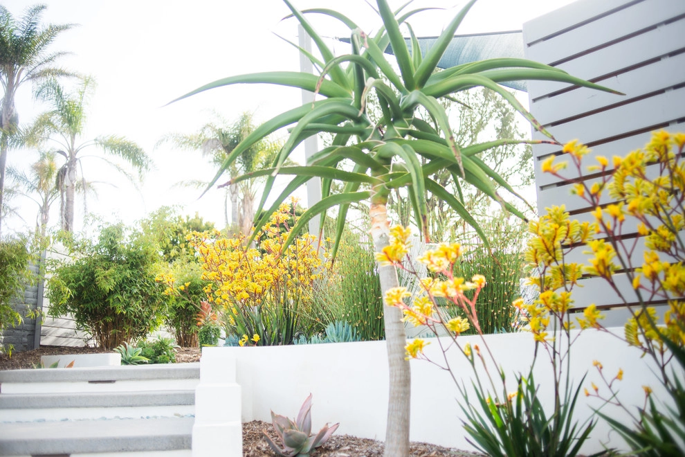 SP Gardens - Susanna Pagan Landscape Design - Photo 13