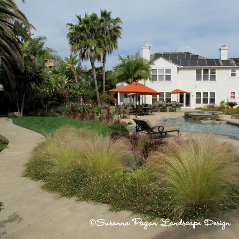 Attix Residence by SP Gardens - Susanna Pagan Landscape Design - Photo 7