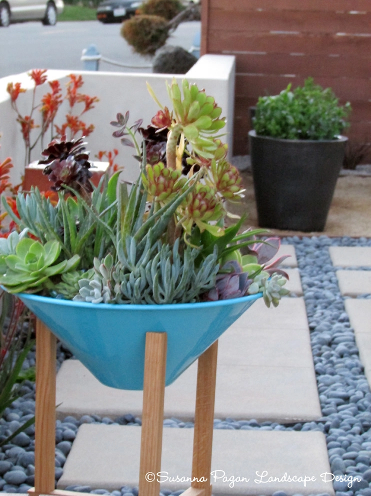 Carlsbad Lagoon Residence by SP Gardens - Susanna Pagan Landscape Design - Photo 6