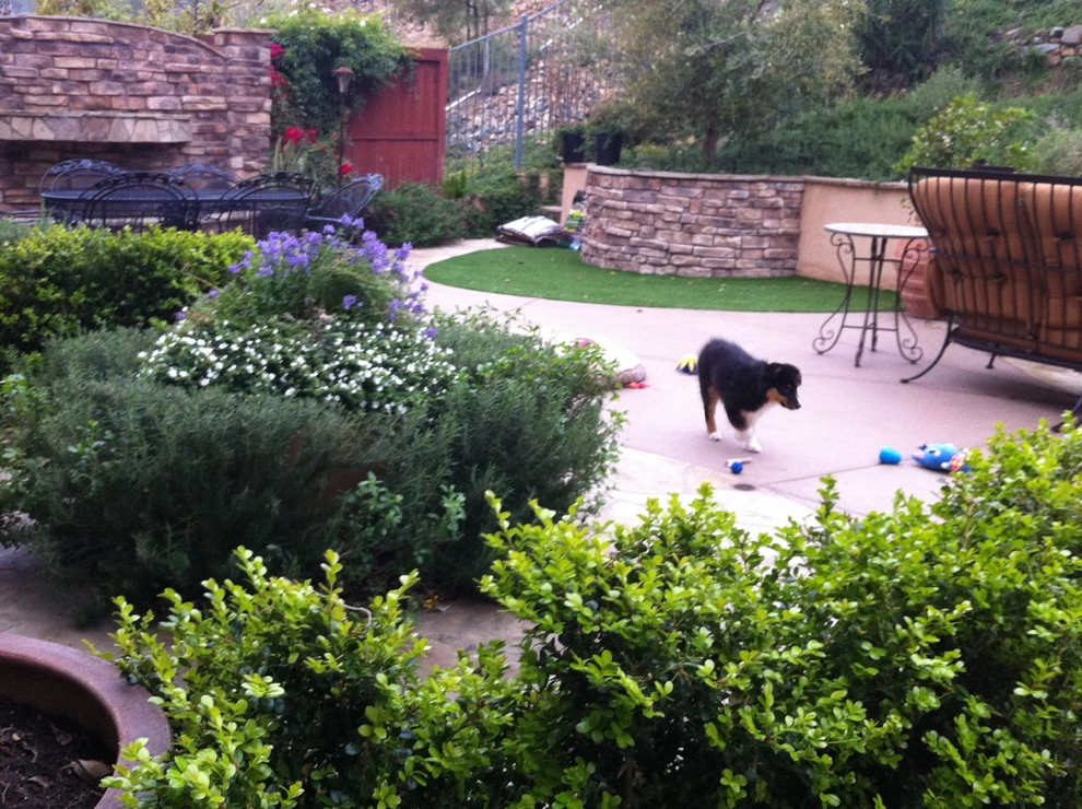 Maney Residence - San Elijo Hills by SP Gardens - Susanna Pagan Landscape Design - Photo 10