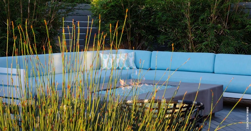 Valdes 'Miami West' Modern Design by SP Gardens - Susanna Pagan Landscape Design - Photo 18