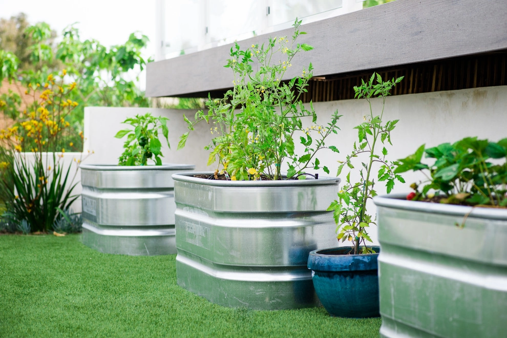 Valdes 'Miami West' Modern Design by SP Gardens - Susanna Pagan Landscape Design - Photo 29