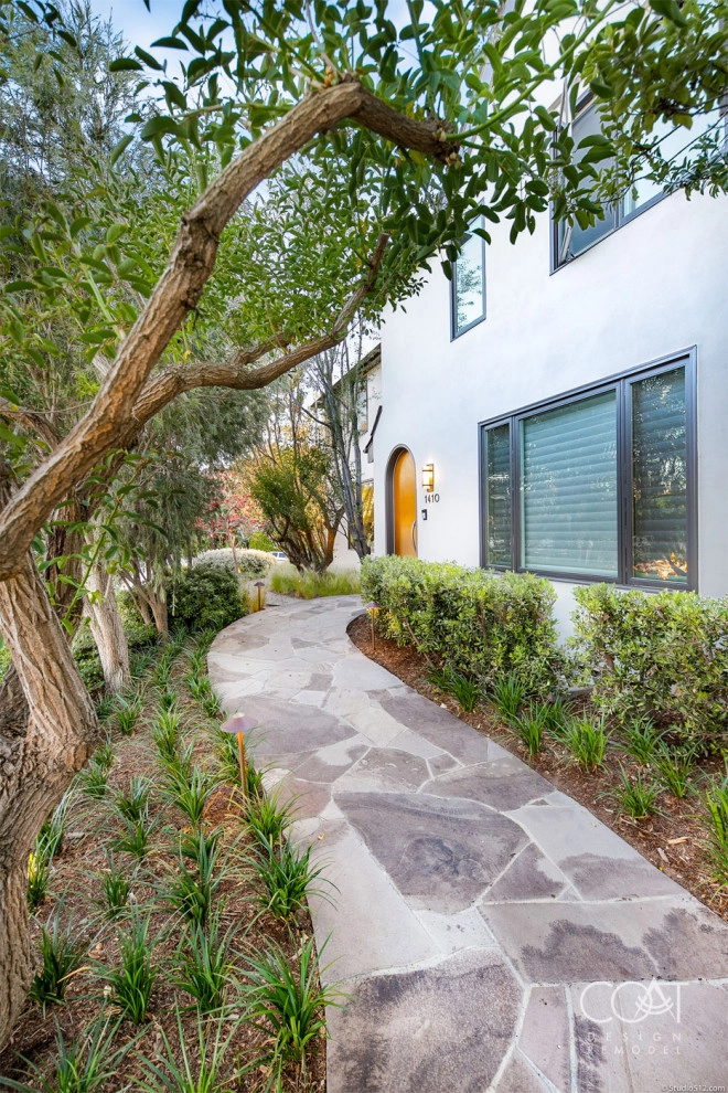 Jewel Box Addition - La Jolla by SP Gardens - Susanna Pagan Landscape Design - Photo 7