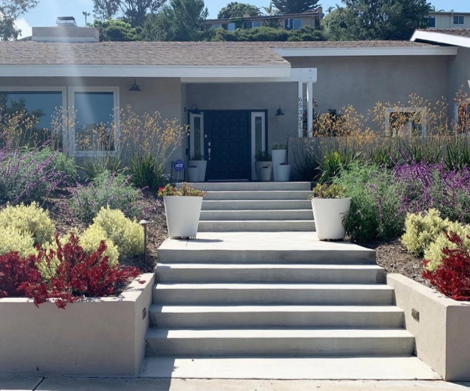 LA Jolla - Muirlands Beauty by SP Gardens - Susanna Pagan Landscape Design - Photo 5