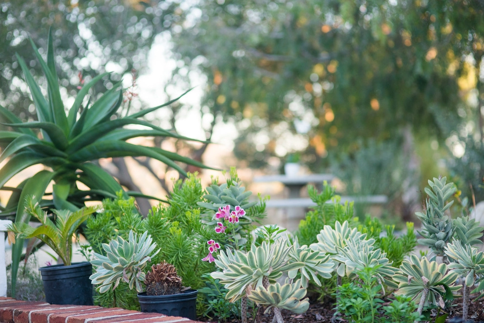 Casa de Aire y Sol Residence by SP Gardens - Susanna Pagan Landscape Design - Photo 3