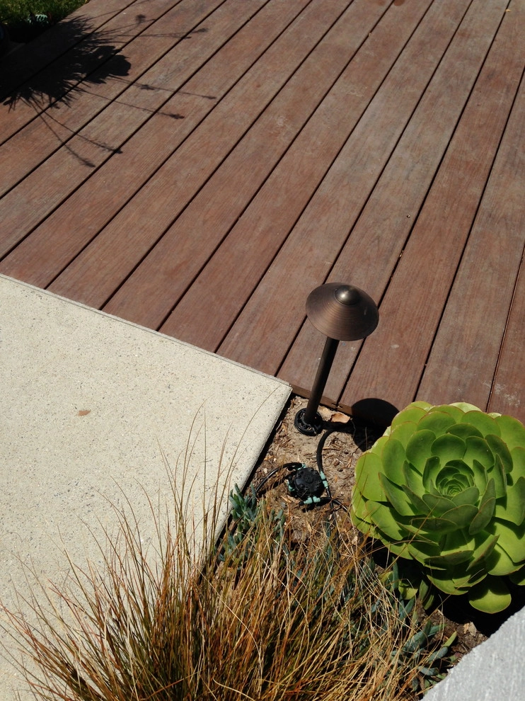 Tyree Residence by SP Gardens - Susanna Pagan Landscape Design - Photo 21